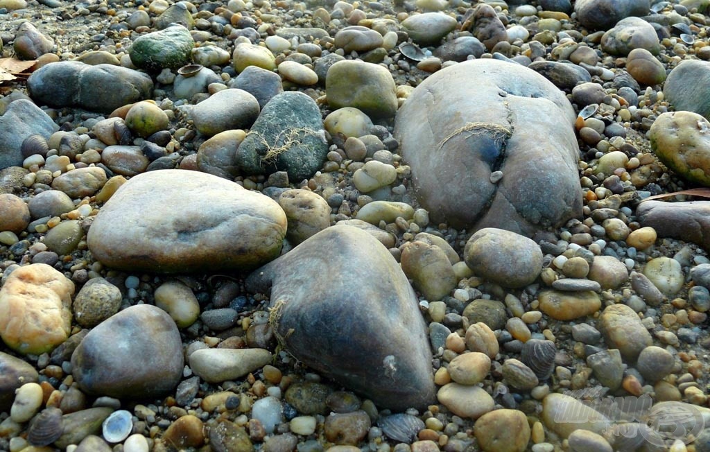 A folyóparti nagyobb kövek kiváló nehezékül szolgálnak a hálóba. Lehetőség szerint enyhén lapított formájú (szappan formájú) köveket keressünk!