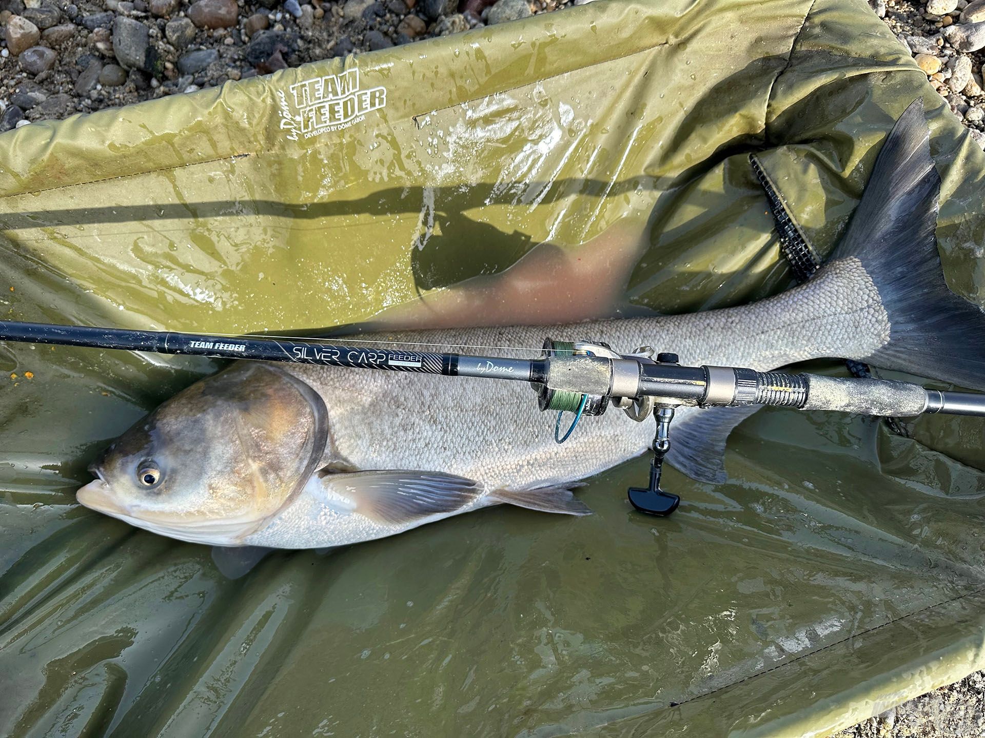 A By Döme TEAM FEEDER Silver Carp Feeder bot tökéletes a tablettás pecához is