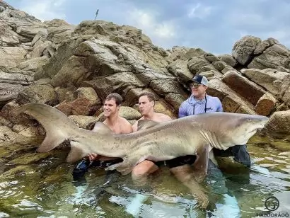 CÁPAVESZÉLY! Ne menj a vízbe! | Félelmetes cápahorgászat Afrikában – 2. rész