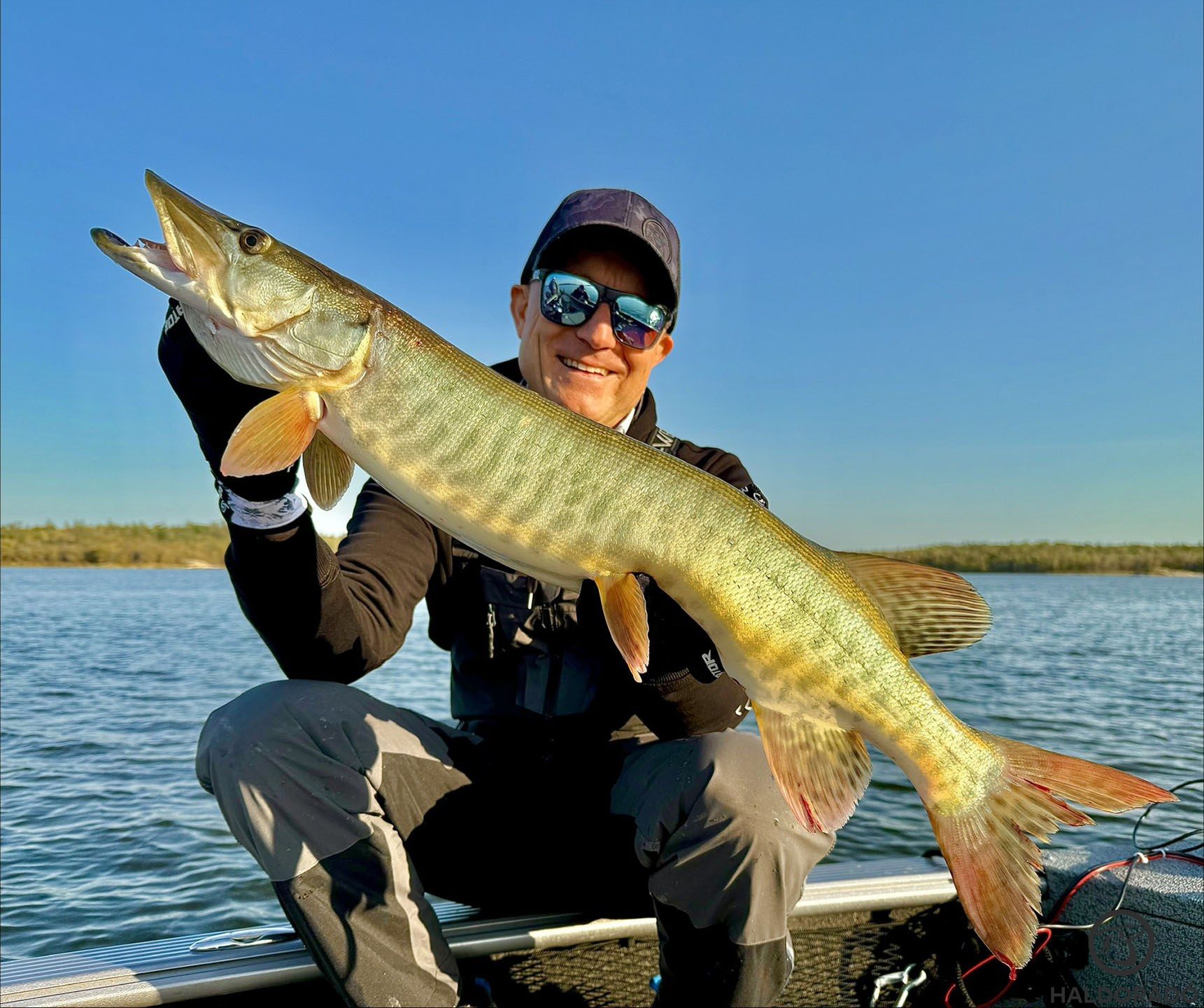 Csuka vagy musky? | Haldorádó Webáruház