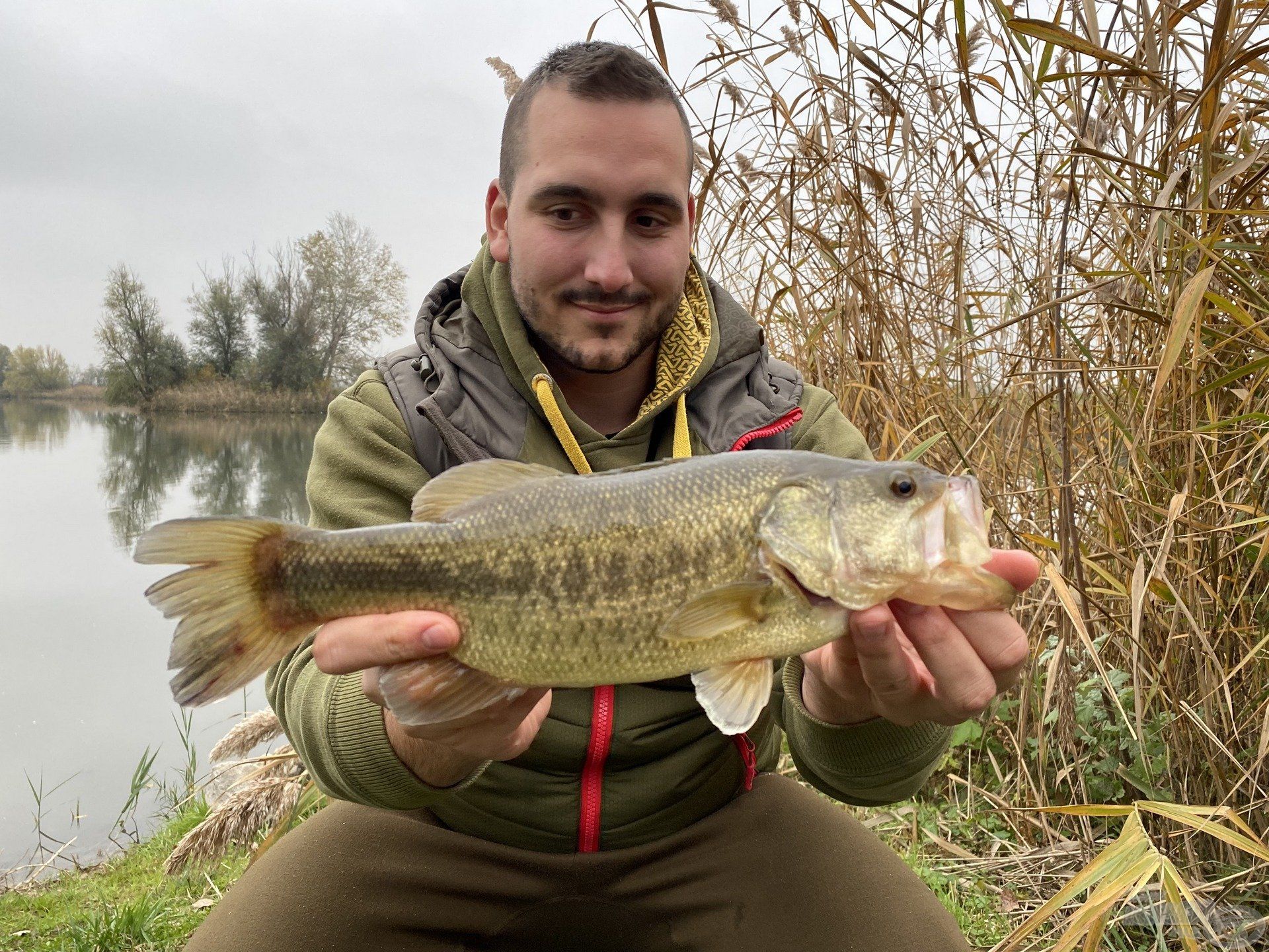 Egy szép „feka” Tomi jutalma