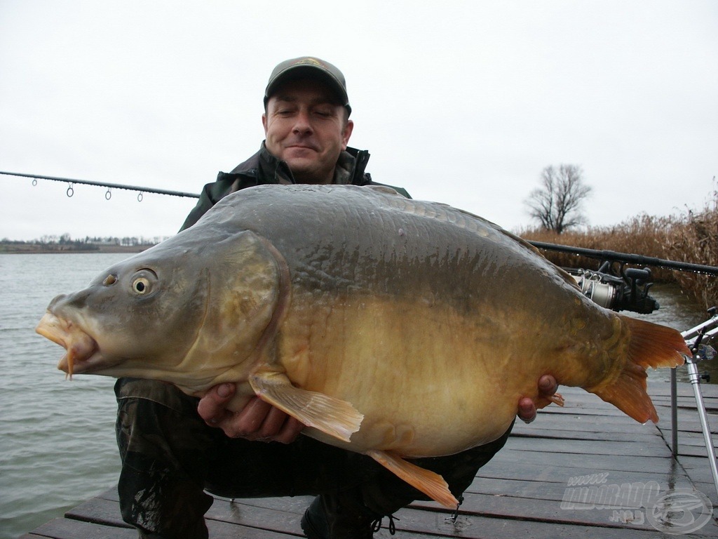 Hibátlan, gyönyörű hal, súlya 18 kg