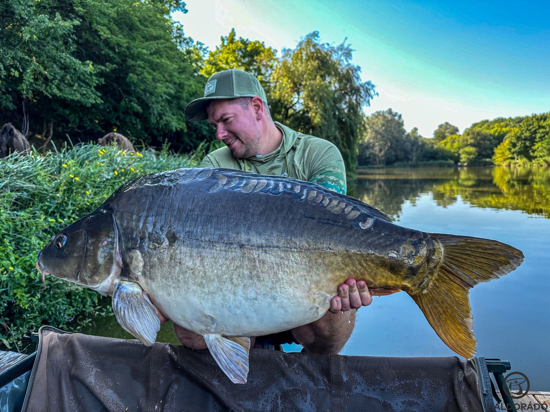 Diana-tavi „nászút”