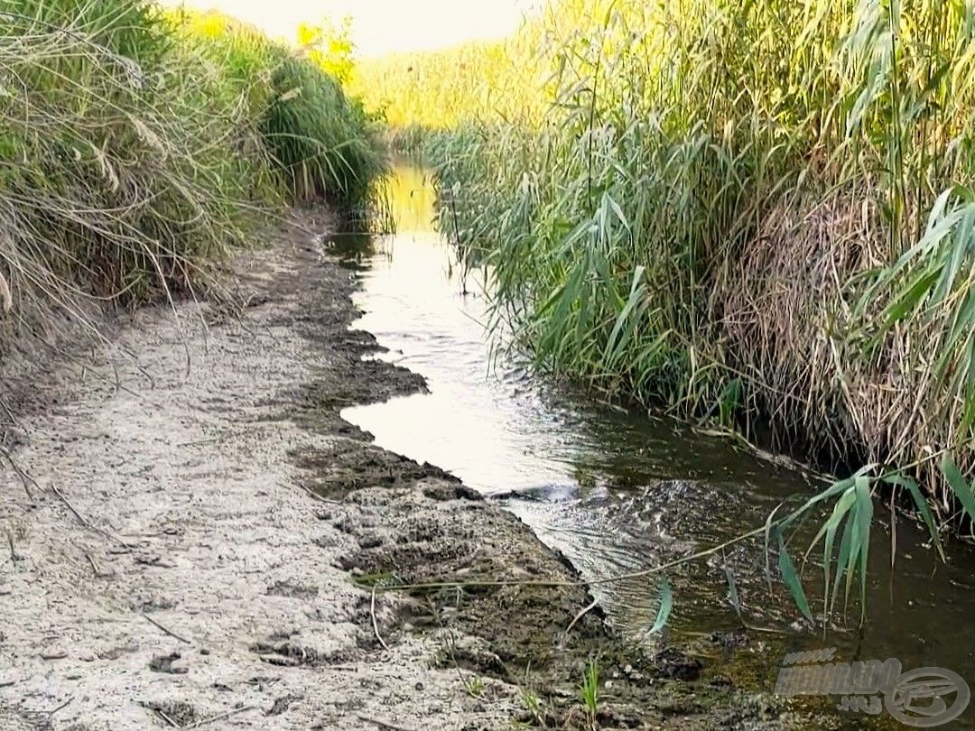 A klímaváltozás miatt a kis folyók napjai meg vannak számlálva?!