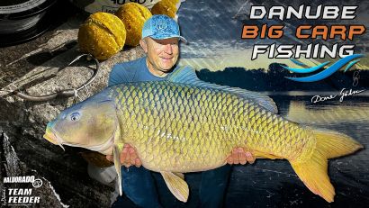 Dunai nagyponty-horgászatom 2. rész – A szelektív csali