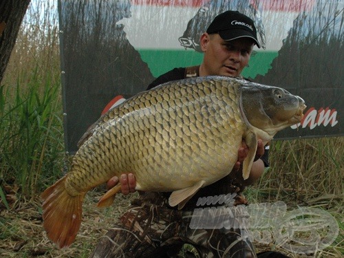 André Antal szépségdíjas tőpontya, amely egyben a verseny legnagyobb halának is bizonyult: 20,5 kg