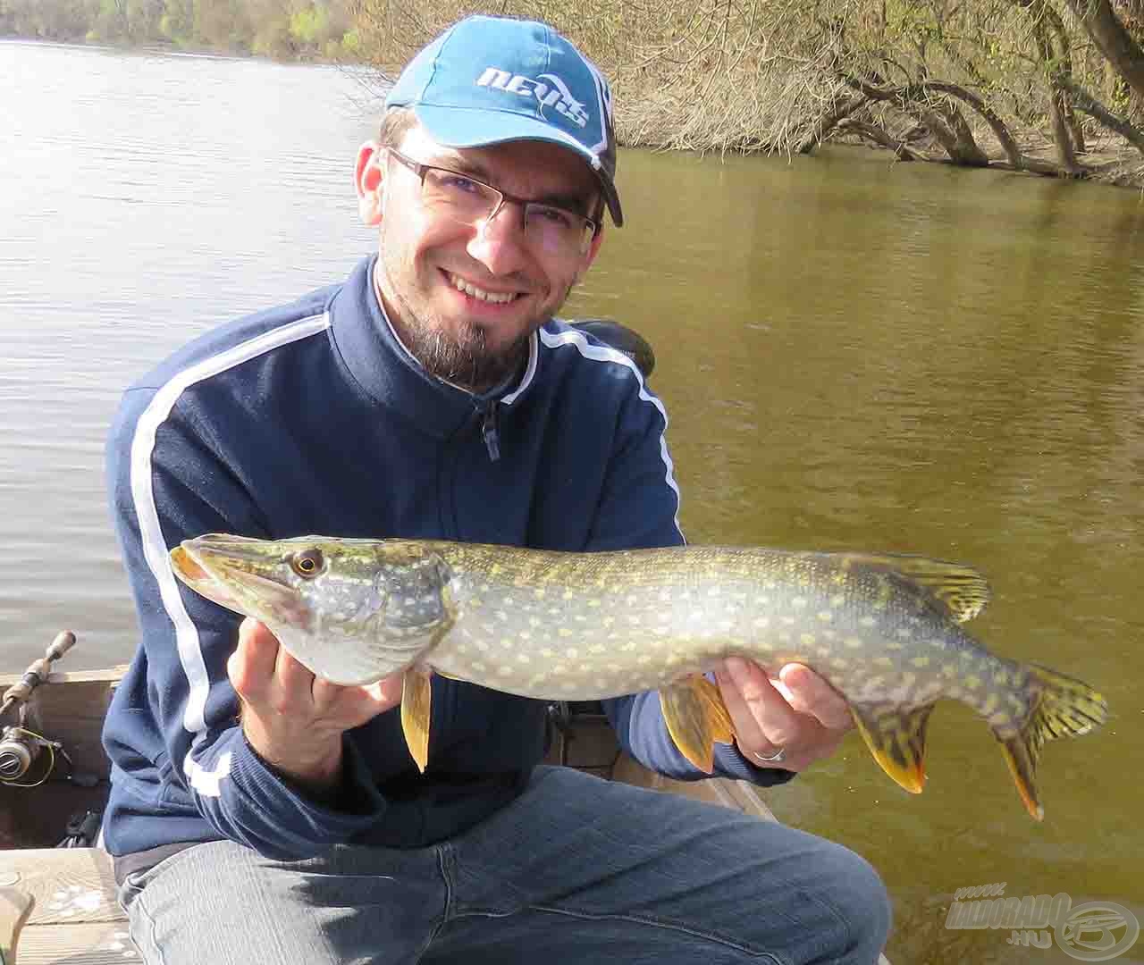 Fakó, tavaszi színű krokodil