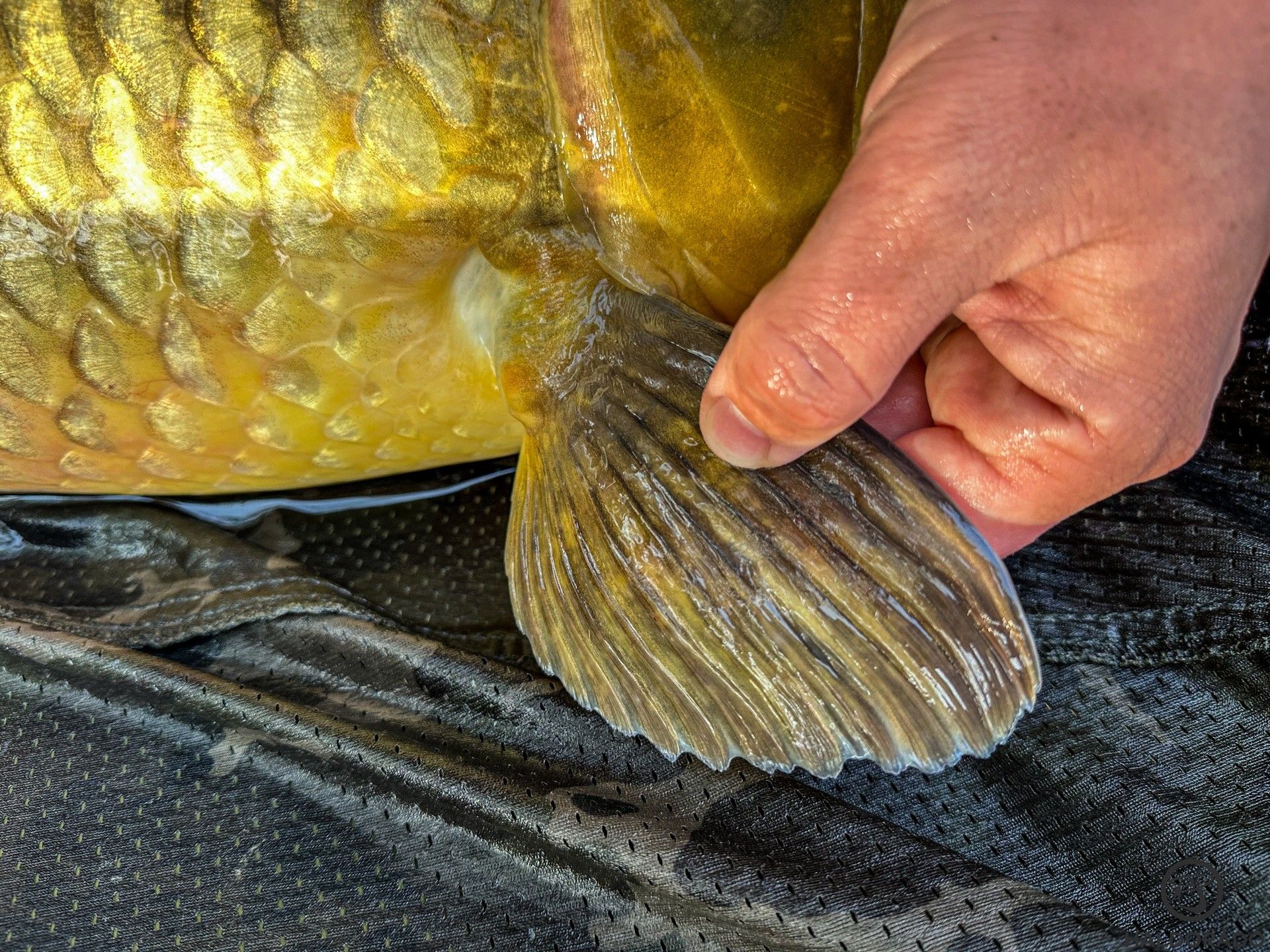 A holtágban is szükség van ilyen „evezőkre”