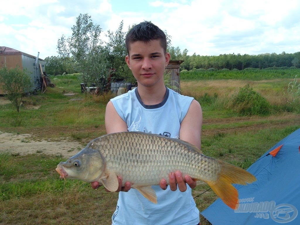 Délelőtti vendégeink egyike