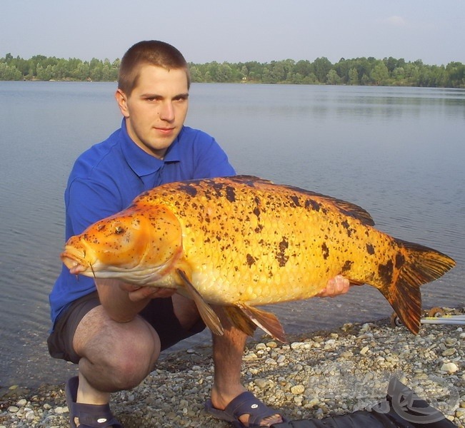 Haskó Tamás megszállott bojlis horgász, sok hasznos tippel szolgált ő is a tesztek során