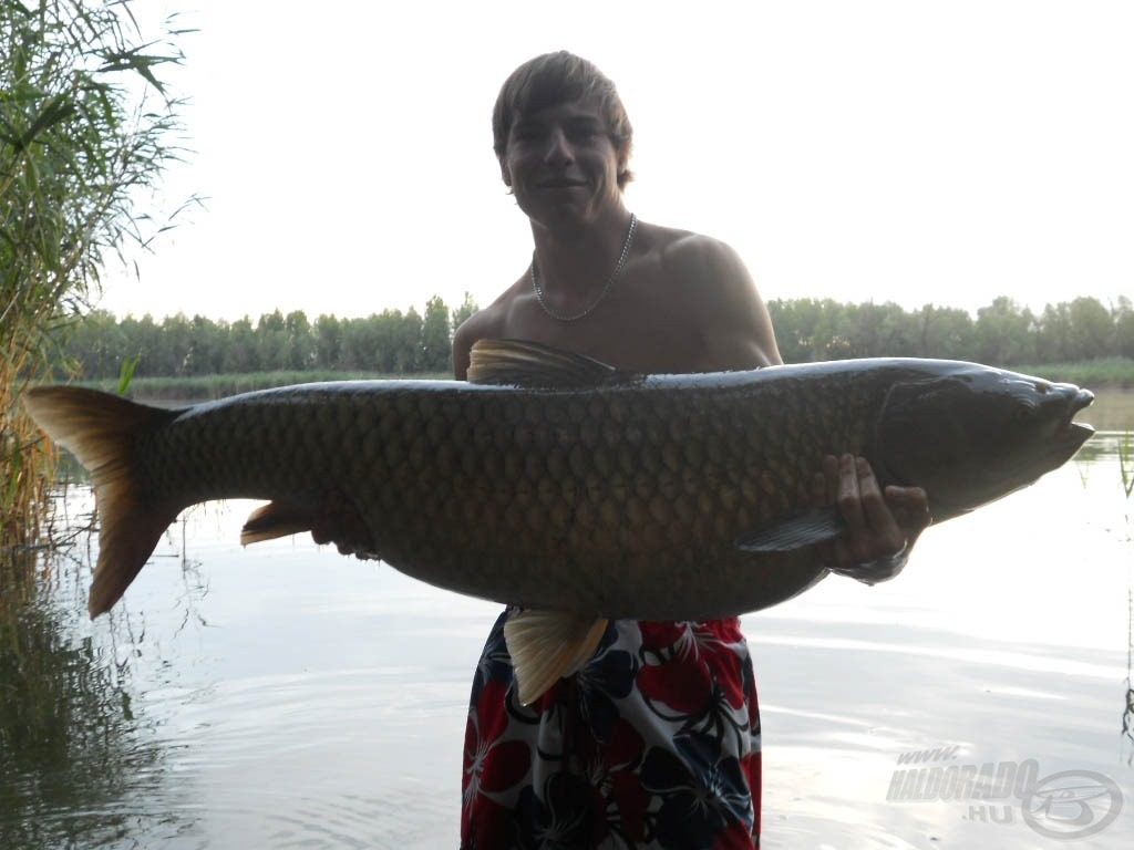 110 cm hosszú és 22 kg súlyú gyönyörű amur