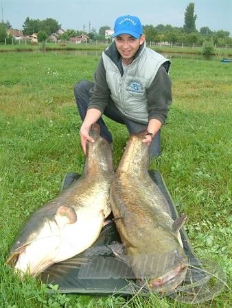 Gyönyörű harcsák élnek a kis alföldi tavacskában