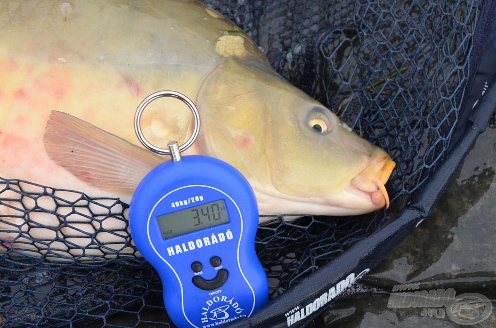 A pontos súlya: 3,4 kg