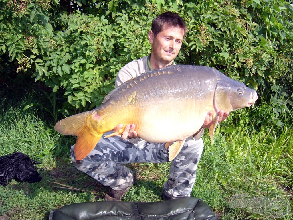 Tavalyi nyári szépségdíjasom egy 12,5 kg-os tükörponty