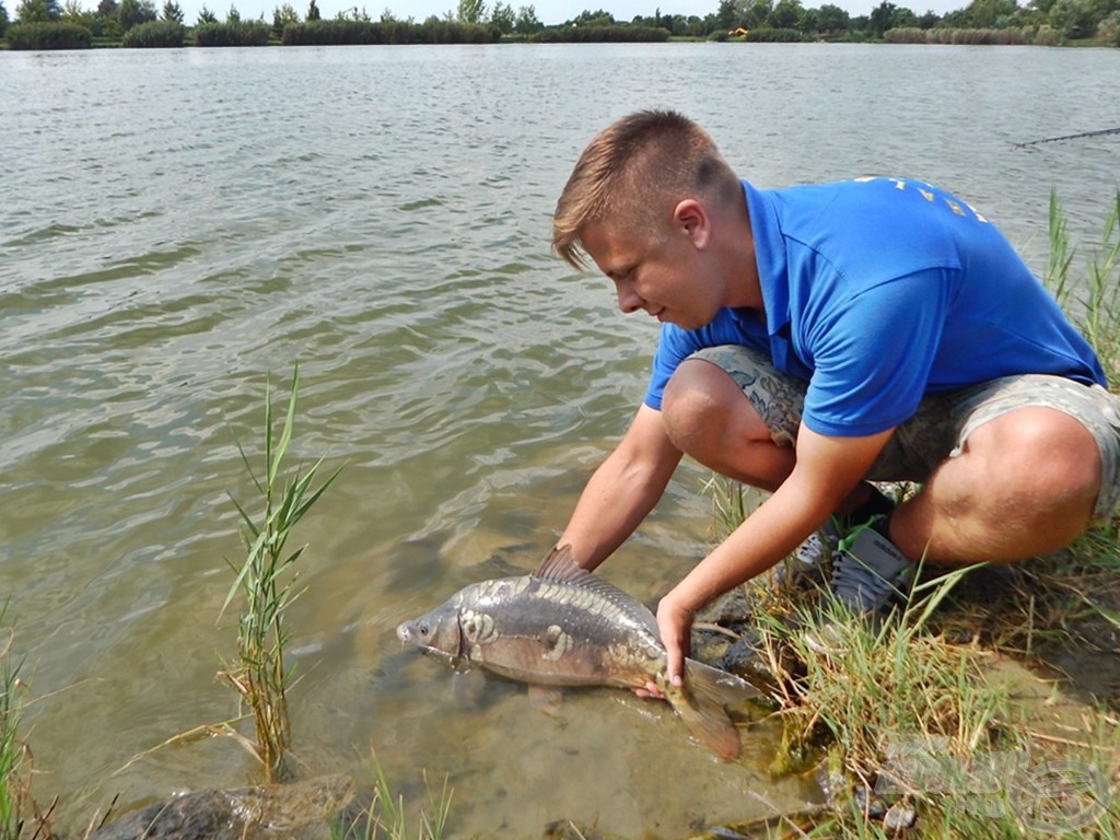 Egy pillanatra se feledkezzünk meg a halak védelméről, óvásáról, a nyári melegben fokozottan figyeljünk rájuk, hogy később akár mi is találkozhassunk velük!