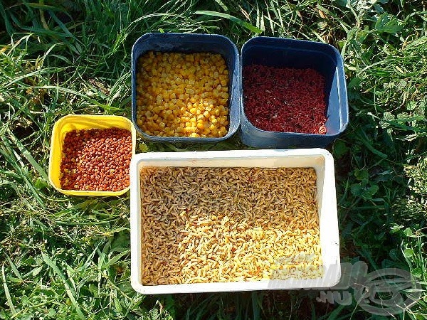 Csonti, pinki, piros és sárga kukorica az étlapon