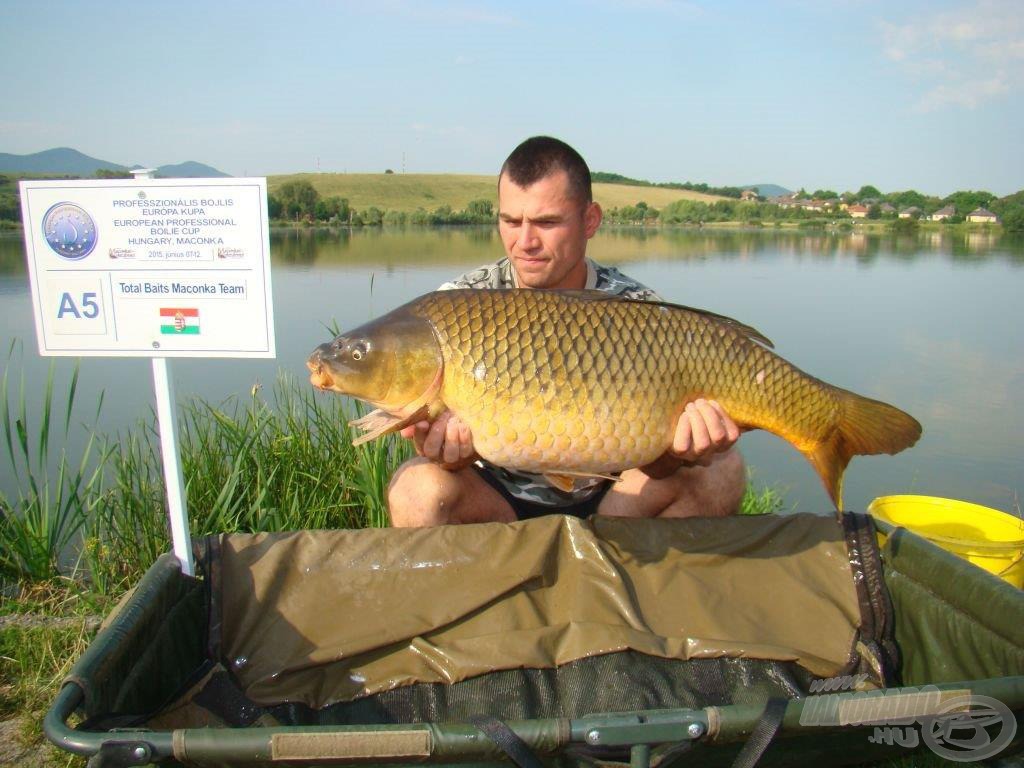 Total Baits - Maconka nyurga