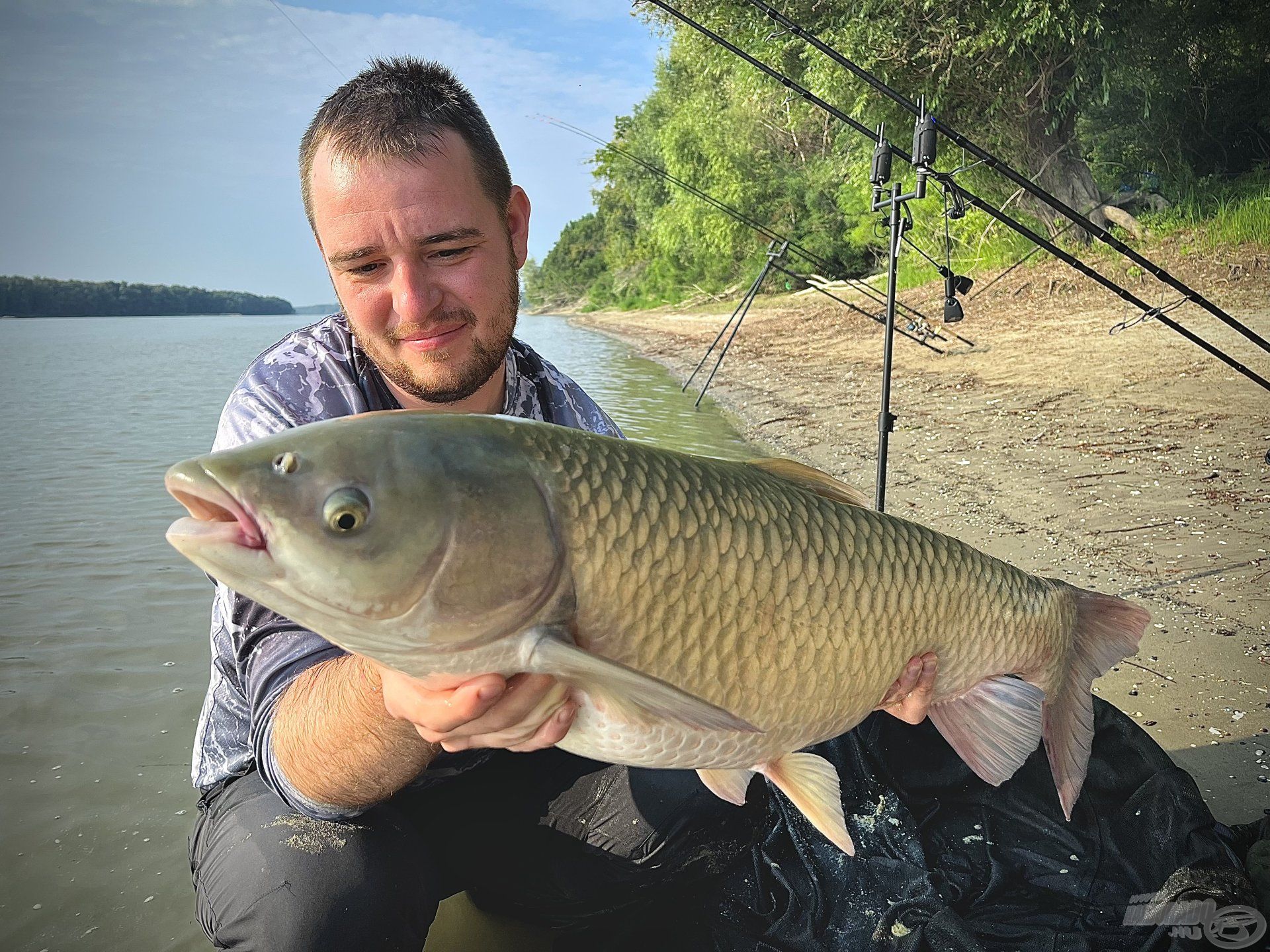 Egy gyönyörű, erőtől duzzadó, 10 kg feletti amur