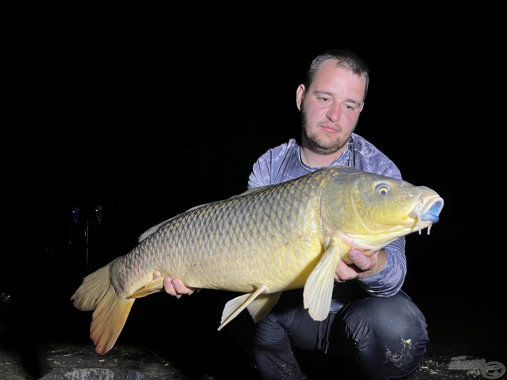 … később pedig egy meglepetés, egy 13 kg feletti nyurgaponty