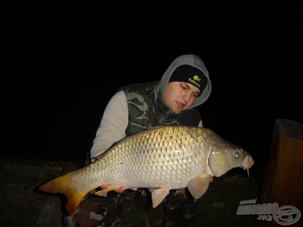 Szép, 8 kg-os tőponty