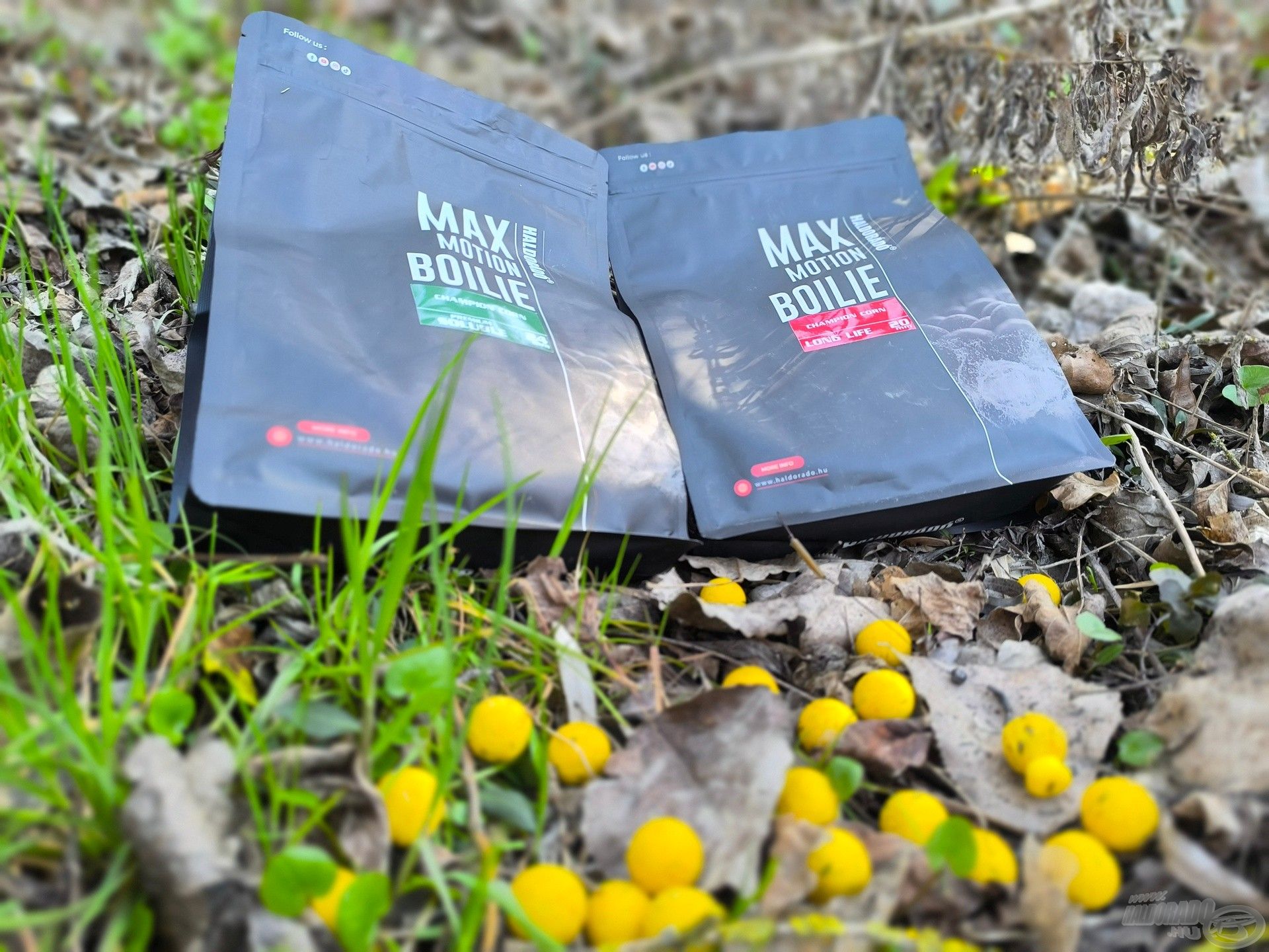 Haldorádó Max Motion Boilie Champion Corn ízesítésben. Volt nálam oldódó és főzött kivitelben is