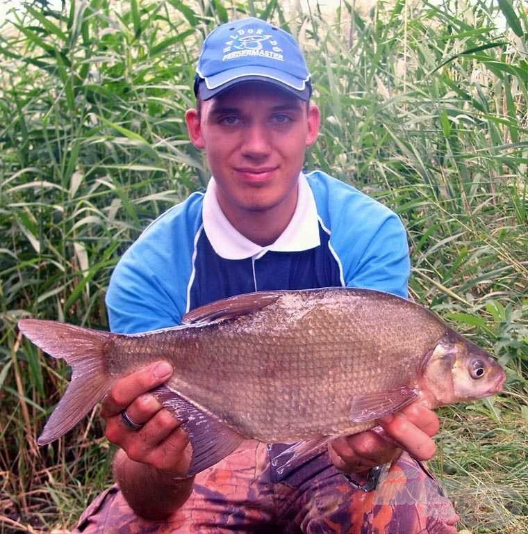 Sokáig csak a nagyobb dévérkeszegek mutattak érdeklődést