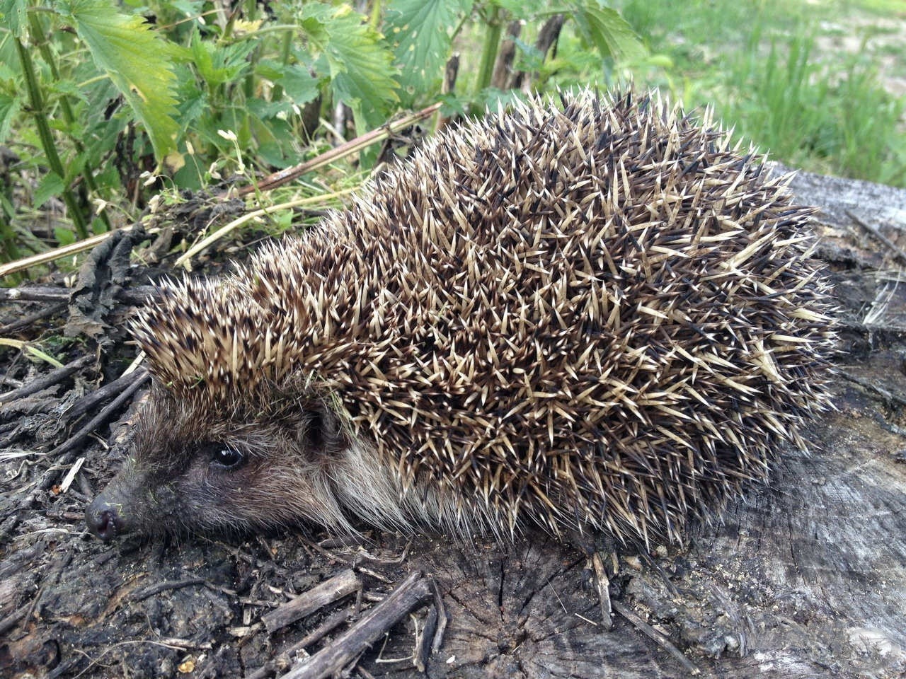 Mindig ügyeljünk, hogy ne bántsuk a gazdag élővilágot!