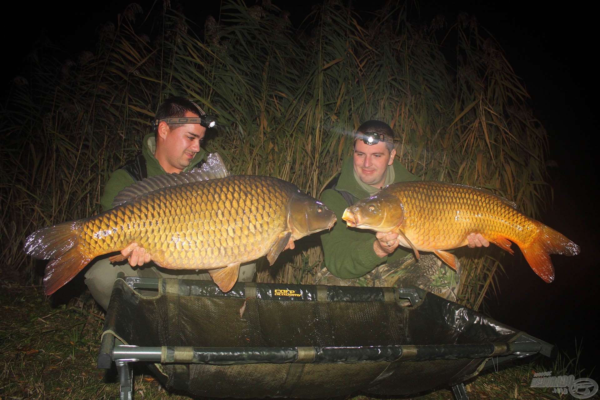 A Haldorádó Carp Team már számtalanszor bizonyított nehéz terepen is!