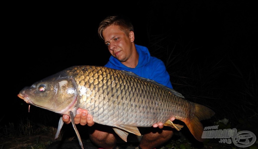 Hihetetlen, de végre kézben tarthattam az első „alaszkai” pontyomat. Súlya 5,60 kg volt, nagyon örültem neki! Bár ekkor még nem tudhattam, hogy ez a hal csak a sort nyitotta!