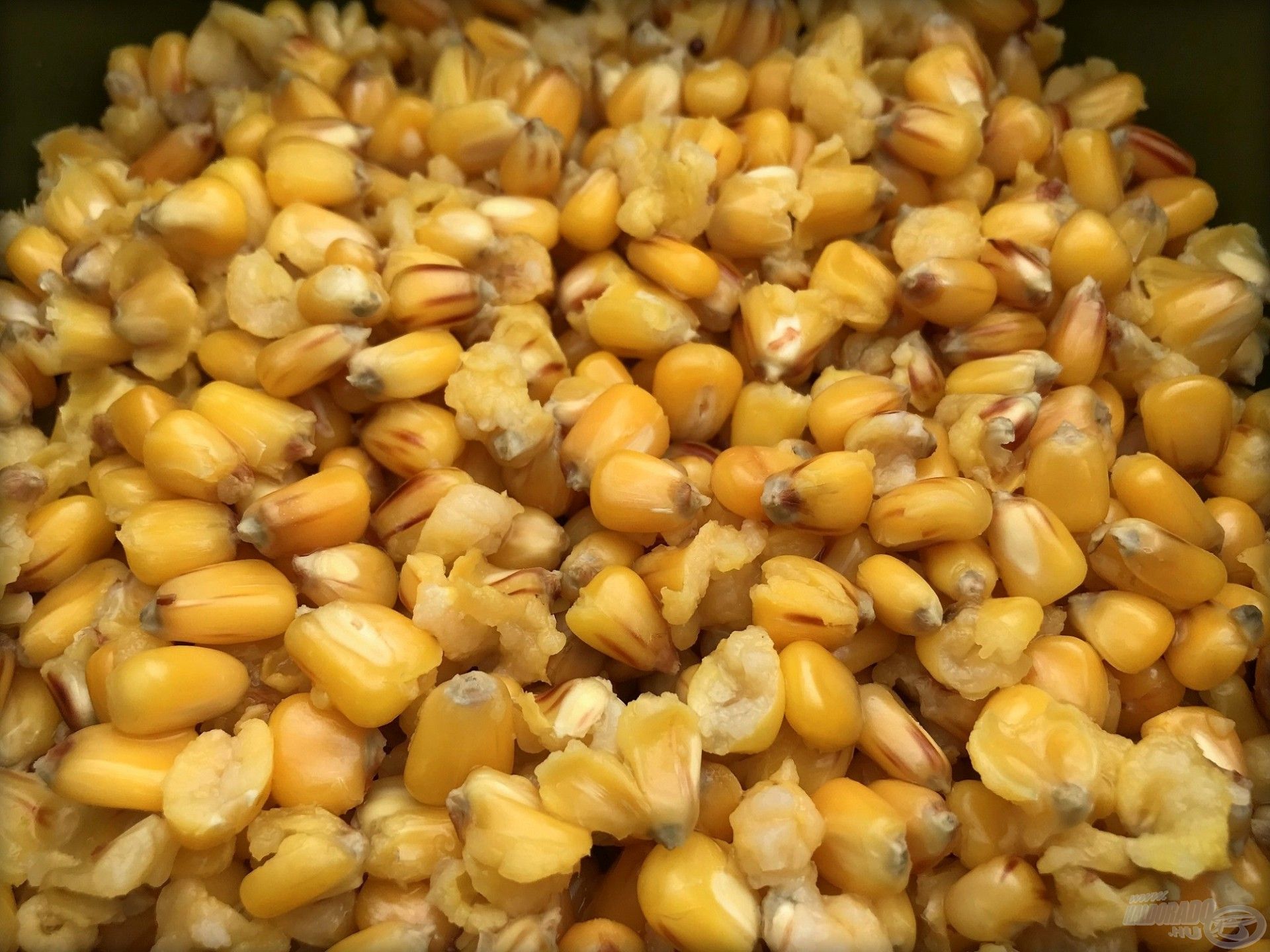 Az elmaradhatatlan főtt kukorica, ezzel viszont csínján kell bánni
