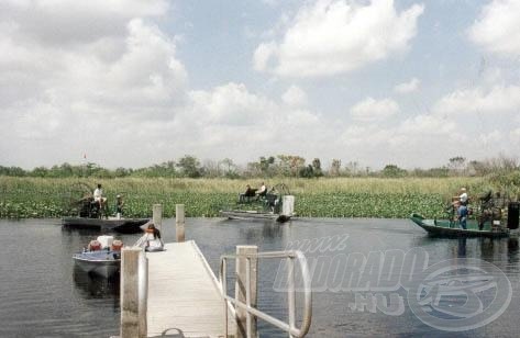 Az Everglades mocsárban a nagyobb csatornákban többször igen nagy forgalom volt.