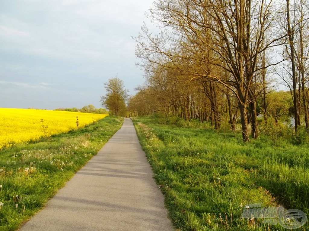 A versenyhelyek kényelmesen megközelíthetőek