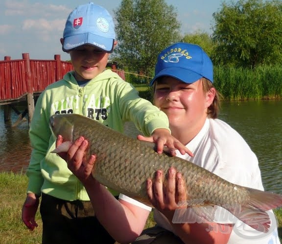 Ez a gyönyörű amur Nagy Ponty pellet és Gyümölcs Varázs kukorica kombinációra éhezett meg! Súlyát nem mértük meg, 4 és 5 kiló közé saccoltuk. Szlovák barátaink látván, hogy mennyi halat fogunk, kértek a Nagy Ponty pelletből pár szemet, hátha Ők is sikerrel járnak