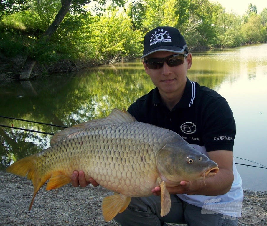 Gyönyörű, csaknem 7 kilós volt a nap első pontya