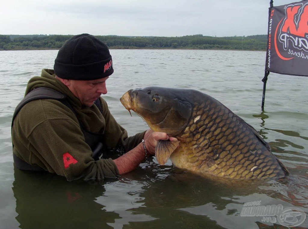 Zsolt eredményességére, a MAX Carp termékekkel elért fogásaira joggal lehet büszke