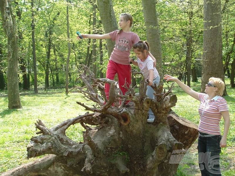 Amire fel lehetett mászni, arra fel is másztak