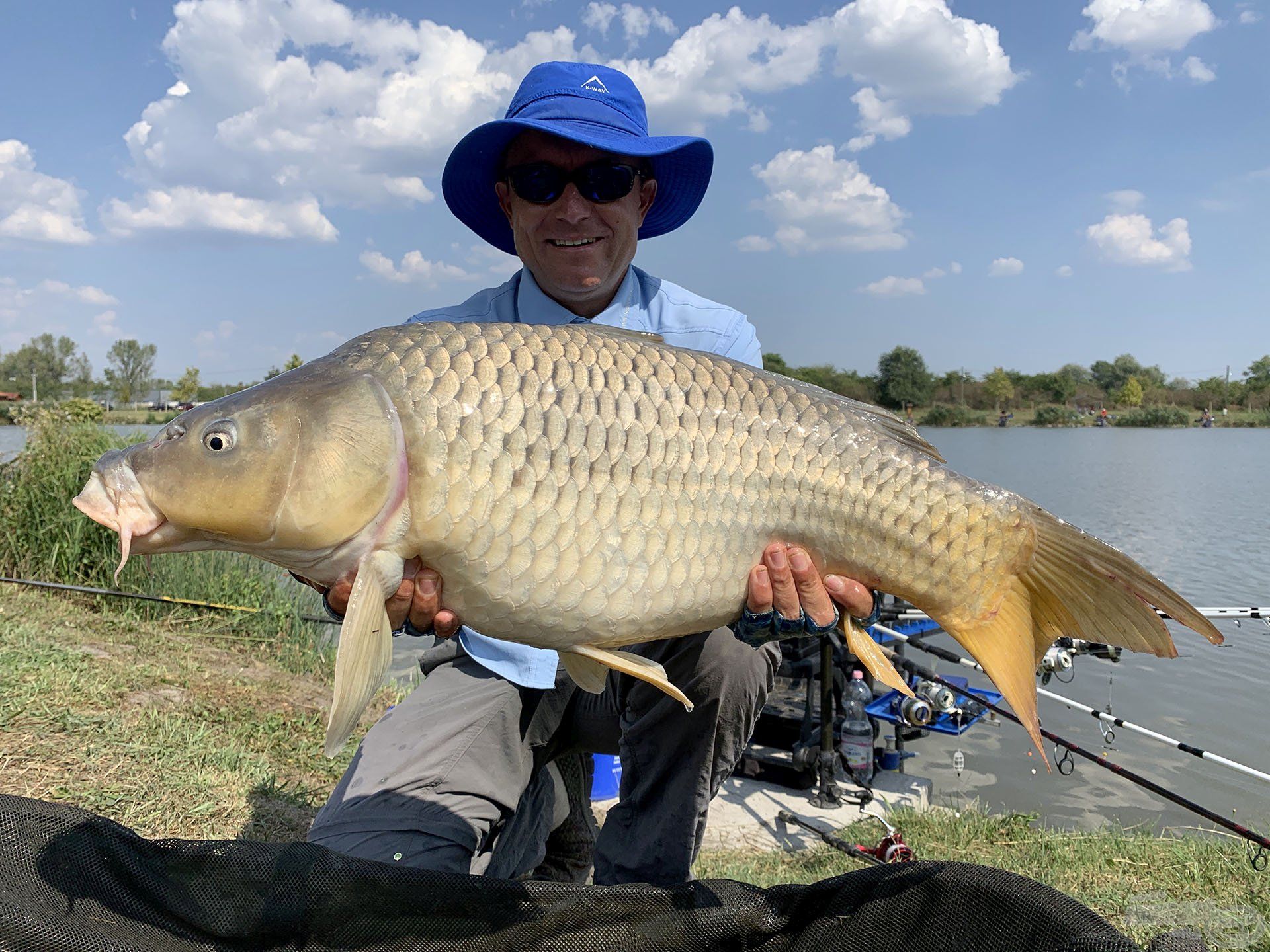 A tóban nagyon szép pontyok élnek, nem ritka a 10 kg feletti egyed sem