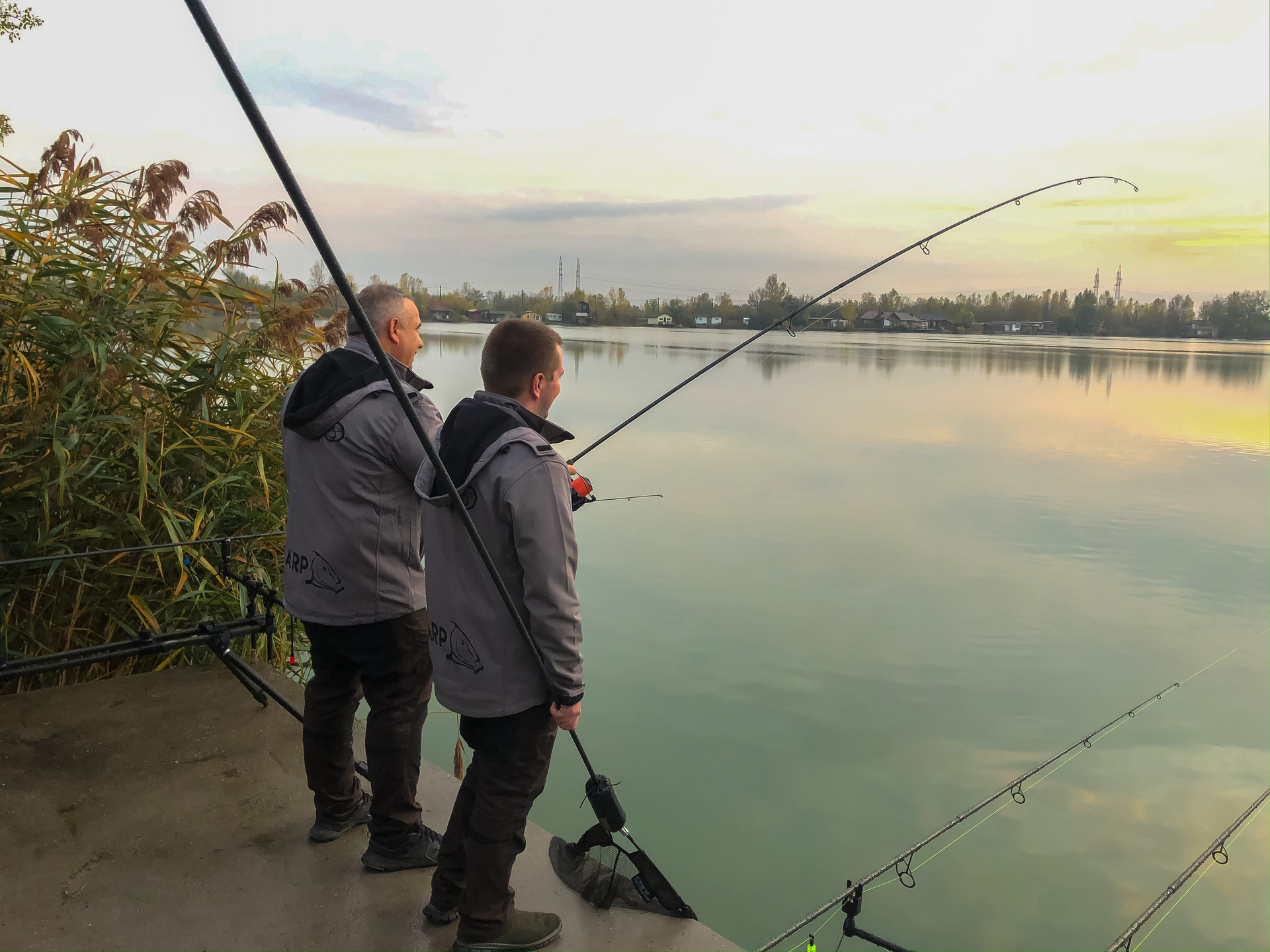 A Carp Boilie program TripleX újdonságainak fontos szerep jutott a fiúk őszi, Petőfi-tavi túrján