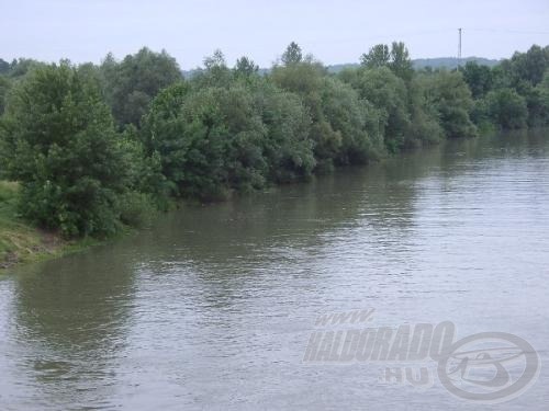 Nem tudok úgy elmenni egy víz mellett, hogy ne villanna át agyamon: rejtőznek-e benne halak?