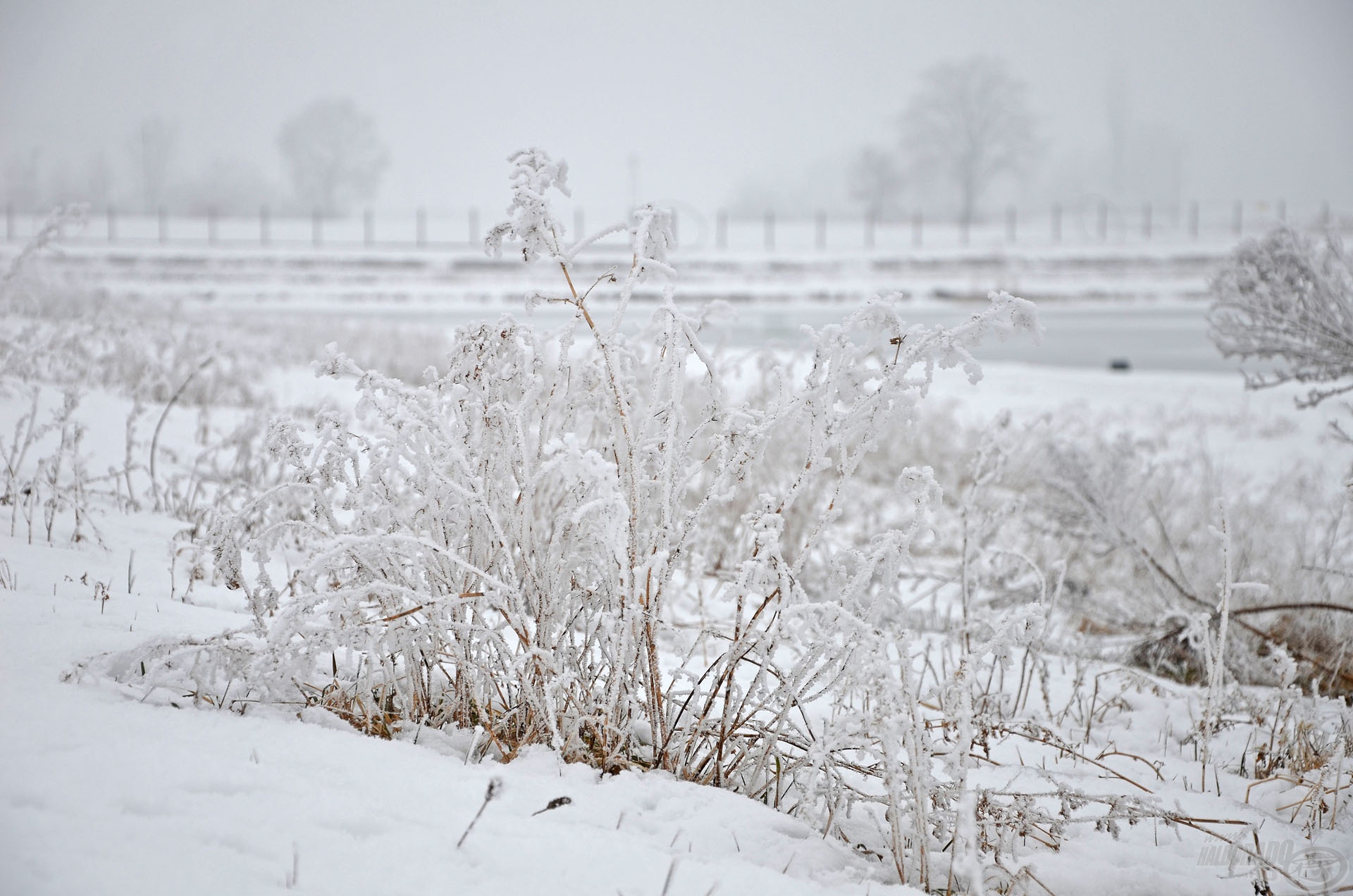 Nem ritkán -5, -8 Celsius-fok volt a nappali hőmérséklet is