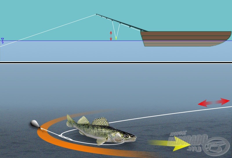 Ha a hal a kidobott zsinór által megszabott körív mentén mozog, a karikán csak kis rángásokat és kisebb emelkedést-süllyedést tapasztalhatunk. Utóbbiak mértéke igen messze van attól, hogy közben valójában mennyi „zsinórt vitt el” a csalinkkal foglalkozó hal…