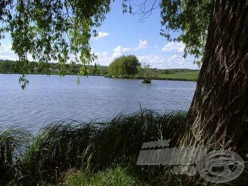 A félszigetről nyugat felé pillantva a képen, a tó északi partja látszik: jobb oldalon a kis kiszögelléssel, előtérben egy fányi szigettel; „nagyon” háttérben (bal oldal) a kíméleti terület sejlik