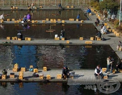 Végső esetben a betonmedencére is ráfanyalodik az élményre kiéhezett horgász…