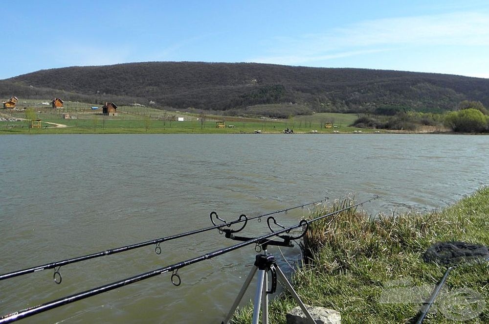 Gyors csalizás után már dobom is vissza szerelékemet, úgy érzem, van ott még ponty, ahonnan az első is jött