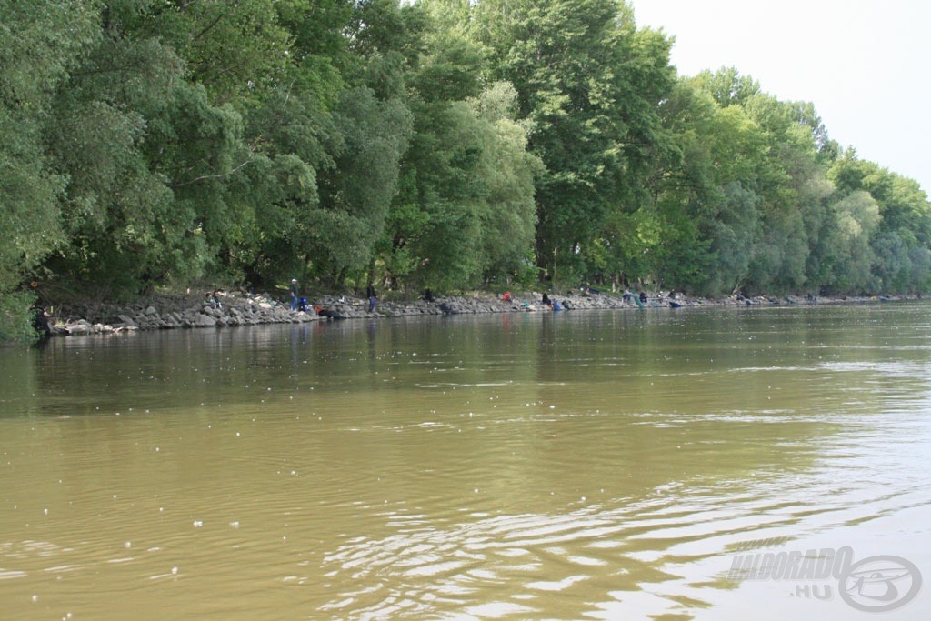 Szeretettel várunk minden vadvizet kedvelő horgászt az I. Haldorádó - Duna Feederkupára