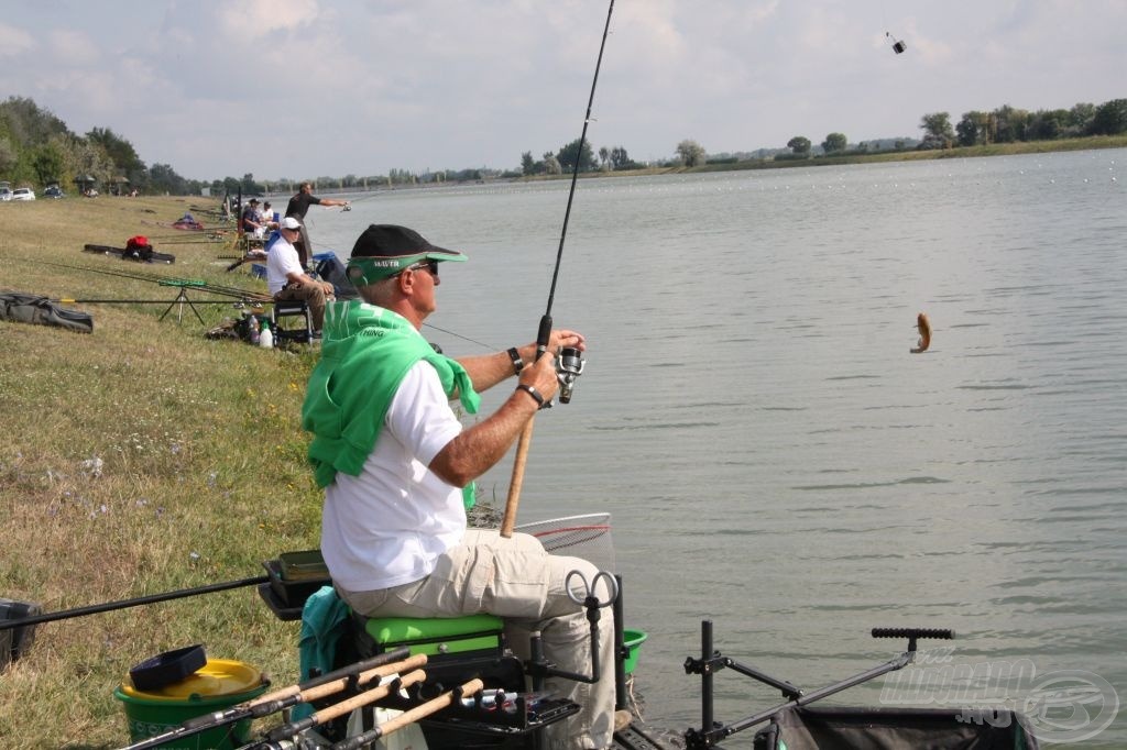 Az első halak most is törpeharcsák