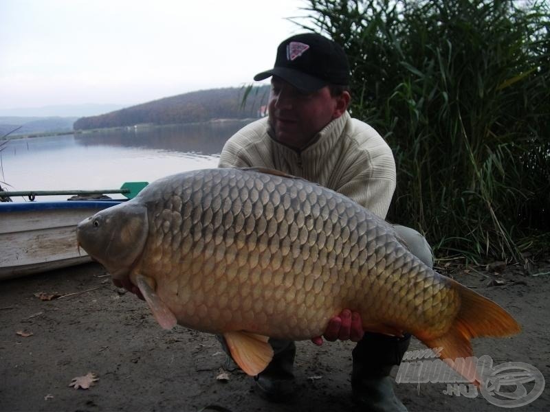 Dr. Székely András (Mistral Baits Team)