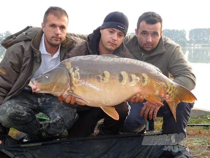 Az egyes helyen horgászó Pelikán Carp Team 1. csapata is megfogta első mérhető halát, mindjárt egy gyönyörű, 14,36 kg-os példányt