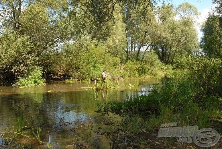 Próbáltam a mélyebb részeket dobálni, nem sok ilyen volt