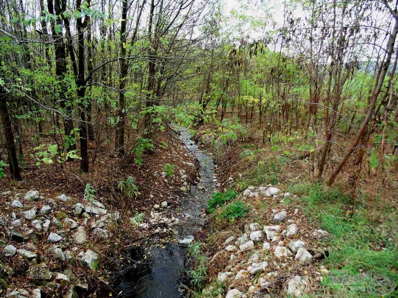 Helyes kis patak vezeti el a plusz vizet